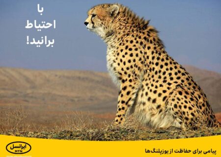 پیامی برای حفاظت از یوزپلنگ‌ها