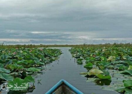 رفیعی: چشم طمع سودجویان به دنبال تالاب انزلی است