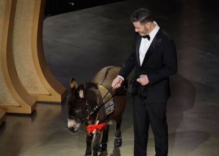 ملال‌آور و قابل پیش‌بینی مثل اسکار ۲۰۲۳/ یک الاغ، نهایت خلاقیت!