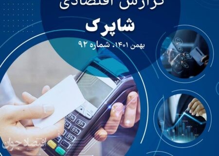 چکیده‌ای از وضعیت PSPها در گزارش بهمن شاپرک