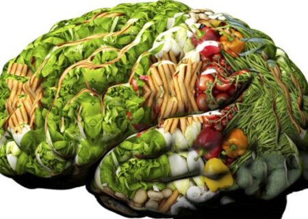 این غذاها شما را باهوش می‌کند