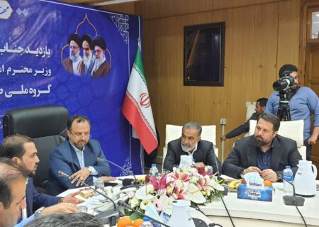 تقدیر وزیر اقتصاد از بانک ملی ایران