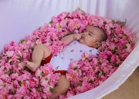 آیین گُل‌غلتان در کاشان