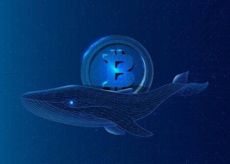 مهاجرت بزرگترین نهنگ‌ های بیت‌ کوین