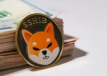 آیا خرید شیبا اینو هنوز یک فرصت سرمایه‌گذاری قابل قبول است؟