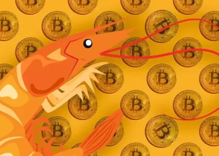 رکورد تعداد کیف‌پول میگوهای بیت کوین شکسته شد