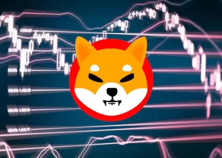 پیش بینی قیمت شیبا اینو در پی افزایش حجم معاملات