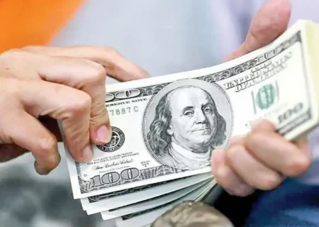 علامت‌های مثبت ثبات ارزی در سال جاری