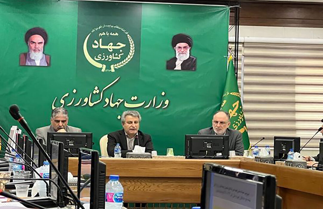 تولید ۳ میلیون تن گندم، جو و دانه‌های روغنی هدفگذاری شد