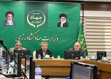 تولید ۳ میلیون تن گندم، جو و دانه‌های روغنی هدفگذاری شد