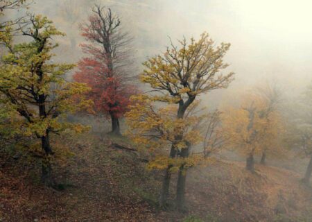 فیلم کوتاه پشت ابر پاییزی اکران شد