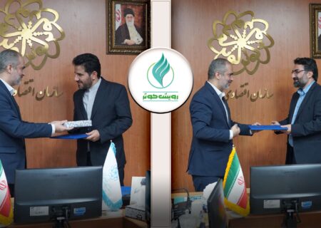 شیرزاده به مدیرعاملی موسسه رویش منصوب شد