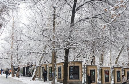 تهران در آستانه برف و سرما؛ هشدار هواشناسی برای بارش، یخبندان و اختلال در ترددها