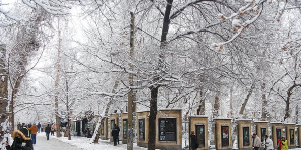 تهران در آستانه برف و سرما؛ هشدار هواشناسی برای بارش، یخبندان و اختلال در ترددها