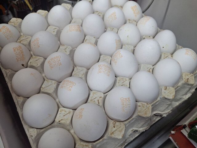 تخم‌مرغ شانه‌ای ۳۰۰ هزار تومان؛ وقتی بازار از نرخ اتحادیه جلو می‌زند