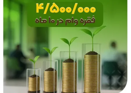 پرداخت بیش از ۵۱ همت وام قرض‌الحسنه توسط بانک مهر ایران در دی‌ماه