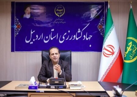 احدی: فرصت‌های سود ده و کم‌هزینه در انتظار سرمایه‌گذاران اردبیل است