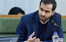 در نشست هماندیشی مدیران صنعت پتروشیمی با وزیر نفت؛حیدرزاده دستاوردها و پیشنهادهای آریاساسول را تشریح کرد