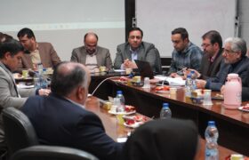 «جواد صالحی نیا»:بانک مسکن در اجرای طرح نهضت ملی یزد پیشتاز است