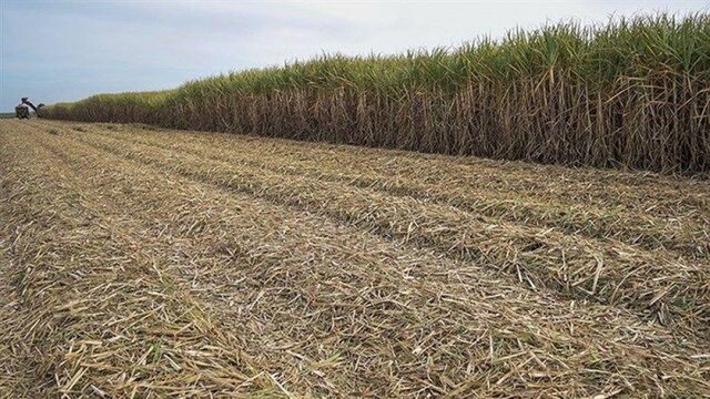 کاهش مصرف کاغذ با اجرای سامانه مدیریت زمین 