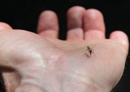 احتمال تداوم بیماری‌های تنفسی در فصل سرما / کنترل «تب دنگی» با تجهیزات نوین