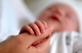 مناطق مرفه تهران، رکورددار کمترین میزان فرزندآوری/ نگاه نسل Z به خوشبختی و فرزندآوری