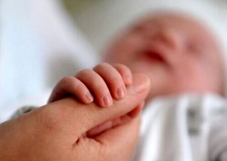 مناطق مرفه تهران، رکورددار کمترین میزان فرزندآوری/ نگاه نسل Z به خوشبختی و فرزندآوری