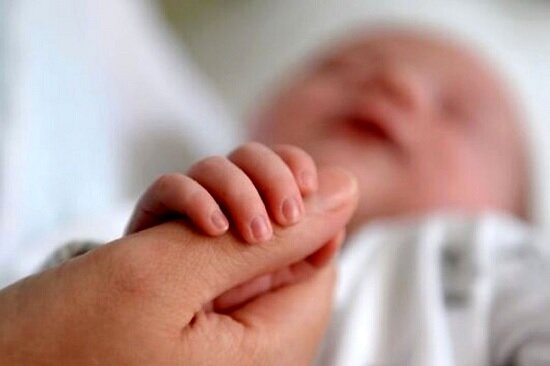 مناطق مرفه تهران، رکورددار کمترین میزان فرزندآوری/ نگاه نسل Z به خوشبختی و فرزندآوری