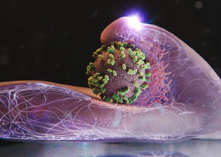 آنفلوآنزا در ۲ شهر بالاتر از سطح هشدار