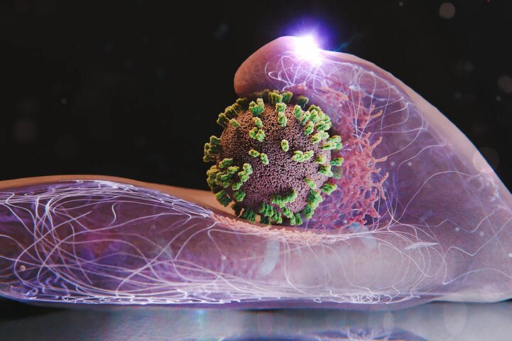 آنفلوآنزا در ۲ شهر بالاتر از سطح هشدار