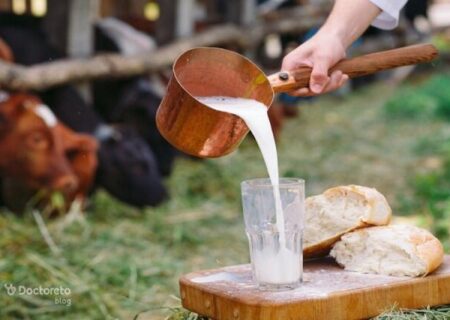 افزایش خطر تب مالت در فصل زایش دام‌ها / مراقب شیر فله باشید