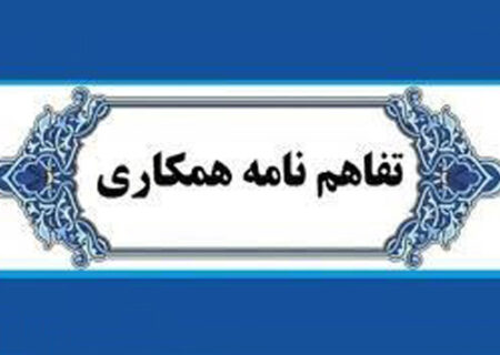 بنیاد برکت مشتری «پلتفرم پالیز» شد/ گام جدید بانک کشاورزی برای تأمین مالی زنجیره تولید